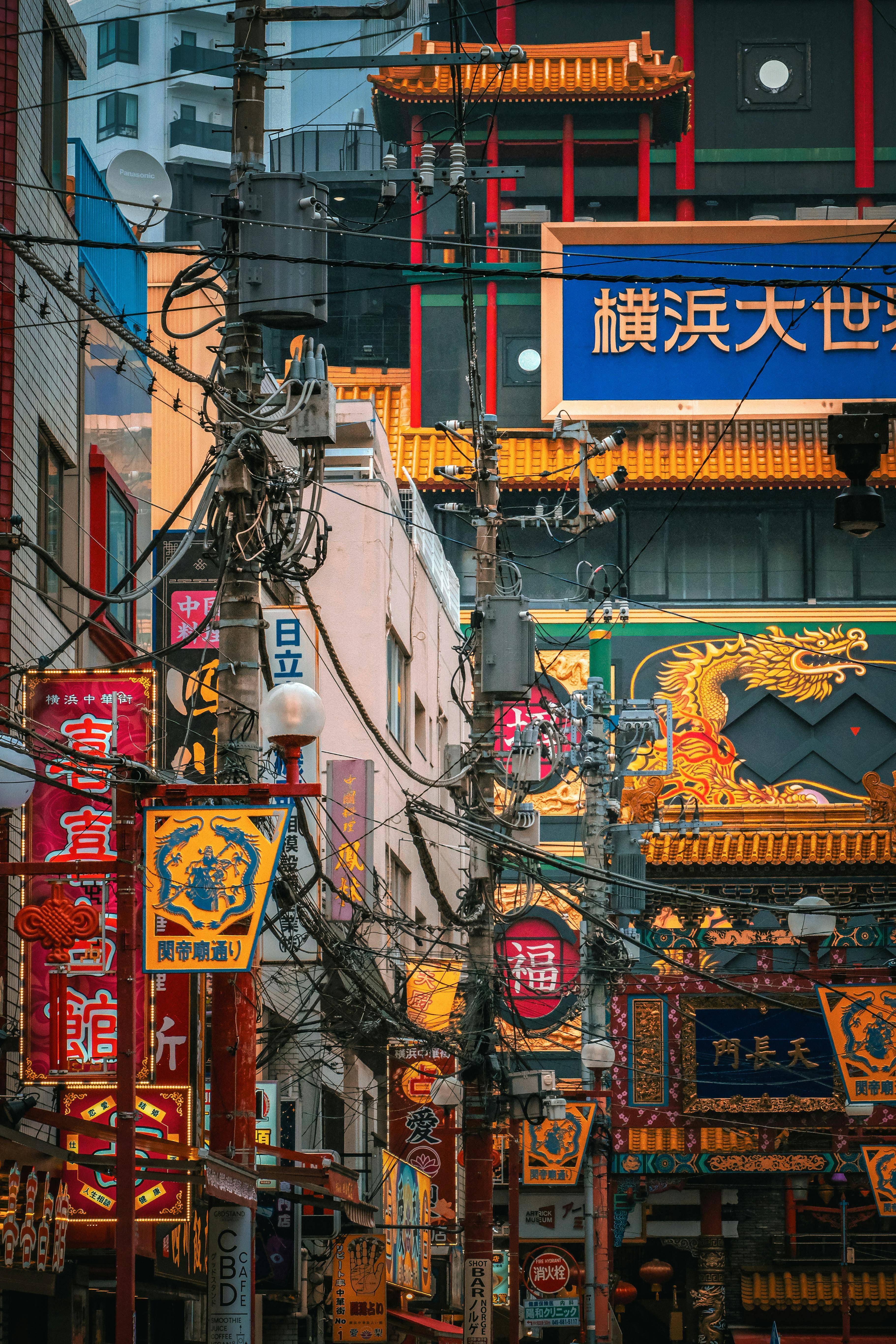 任贤齐墨尔本偶遇生蚝摊暖心互动让粉丝惊喜！